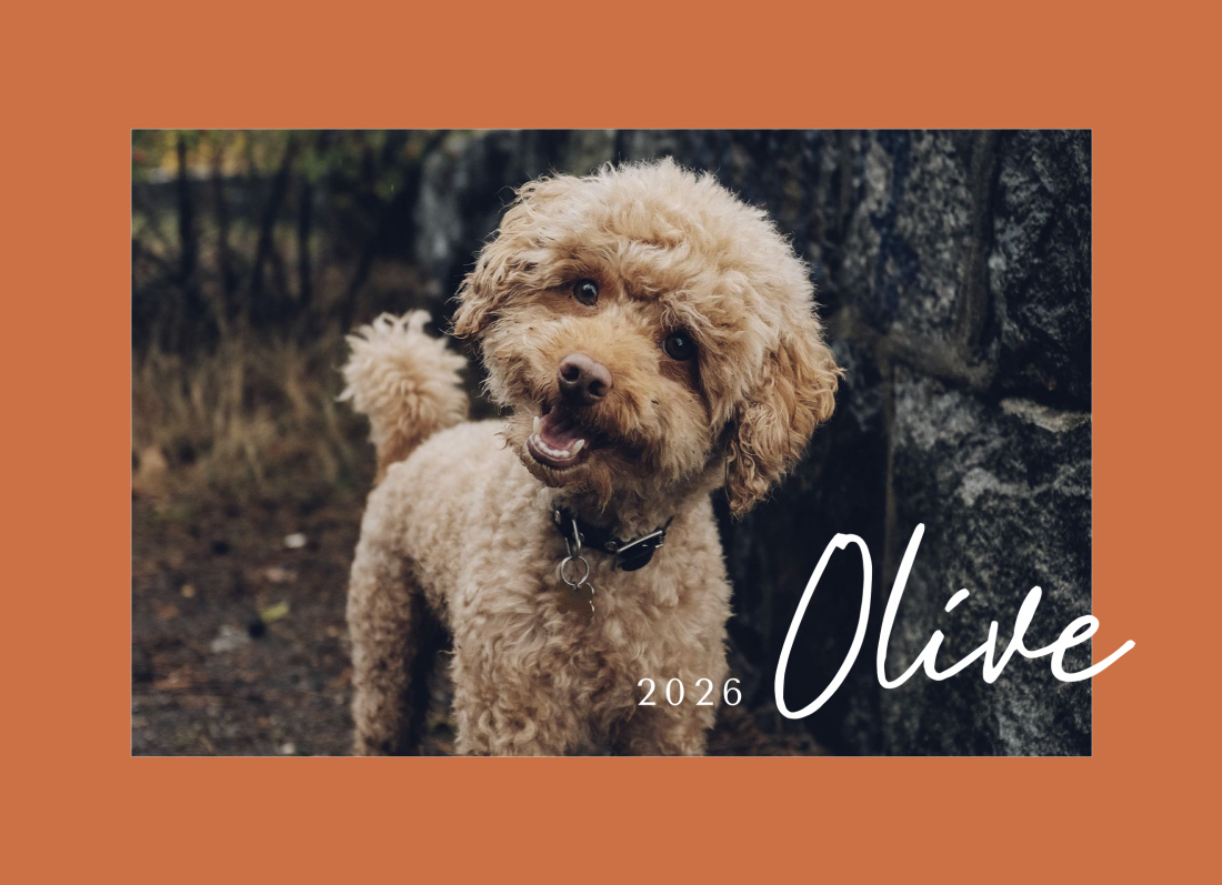 1 Photo layout